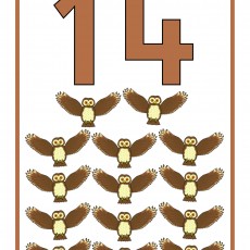 14-OWL-Counting-Visual-Educational-Material