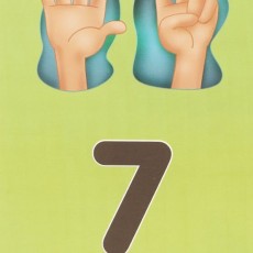 7_SETE_Numara_Öğretimi
