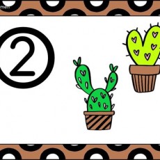 Eğitici Kart: 2 (İki) Cactus Resimleri