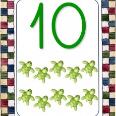 10 (On) Yeşil Kaplumbağa Sayma Kartı