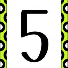 Sayılara Giriş: 5 (Beş) - Eğitim Materyali