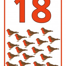 18 Birds Counting Educational Material