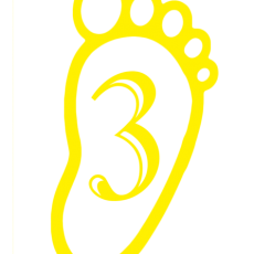 Üçlü Ayak İzi Temalı Grafik - 3 (Üç) Sayısı