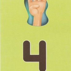 Sayilar ve Temel Matematik: 4 (Dört) - Quatro