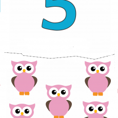 Beş Sevimli Baykuş: 5 (sayı) ve 5 adet pembe baykuş