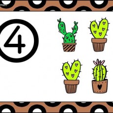 Cactus Illustration with Number Four (4) and Symbols