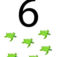6_TURTLES_SIX_GREEN_TURTLES_ENGAGEMENT_ACTIVITY