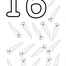 16 (on altı) Havuçlarla Sayma Eğitimi