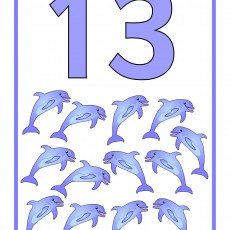 13 - On Üç Deniz Memelisi: Yüzme Eğitimi ve Sayma