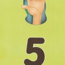 Sayılar ve İspanyolca: 5 (CINCO) Öğrenme Materyali