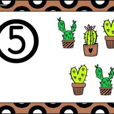 Beş Cactus Resmi - Sayılar ve Bitkiler Temalı Eğitim Materyali