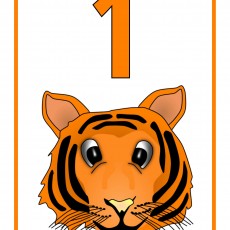 1 NUMARA VE TIGER (KAPLAN) İLLÜSTRASYONU