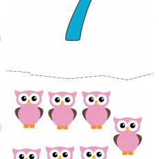 7_Pink_Owls_Counting_Activity