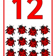 12 Ladybugs Counting Educational Material