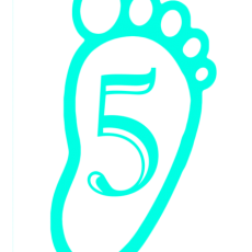 Ayak İzi ile 5 Sayısı - Eğitim Materyali