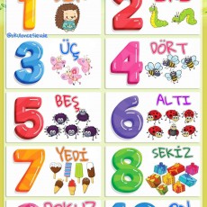 Rakamlar ve Hayvanlar: 1-10 Sayıları ile Eğlenceli Öğrenme