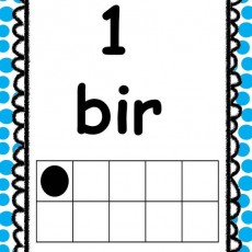 1 Bir Sayı Eğitimi