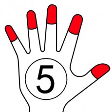 Beş Parmak Sayma Eğitimi - 5 (BEŞ)