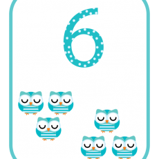 6 OWLS - Counting Educational Material