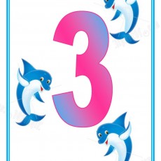 Dolphins and Number Three: Educational Materials