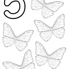 5 Five Butterflies Coloring Activity