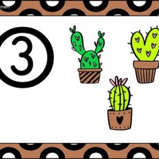 Üç Çiçekli Saksı: Cactus ve Sayılar Eğitimi (3)