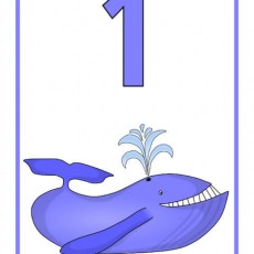 Bir Mavi Balina ve Sayı 1