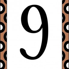 Doku ve Sayı Eğitimi: 9 (dokuz)