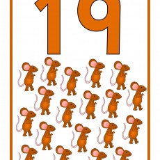 19_NUMBER_AND_MICE_COUNTING_ACTIVITY
