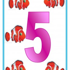 Counting 5 Colorful Clownfish for Children