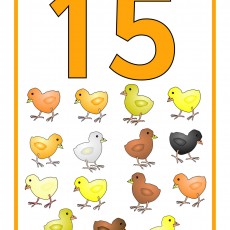 15 (On Beş) Renkli Civcivlerle Sayı Öğrenimi