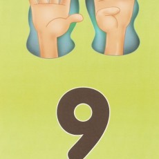 9 NOVE - Sayılar ve Sayma Eğitimi