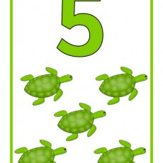 5 TATLI YEŞIL KAPLUMBAGA: EĞİTİCİ SAYILAR