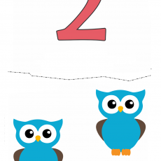 Eğitici Görsel: 2 (İki) Renkli Baykuşlar
