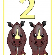 İki (2) Eğlenceli Rhinocerostan Öğrenme Kartı