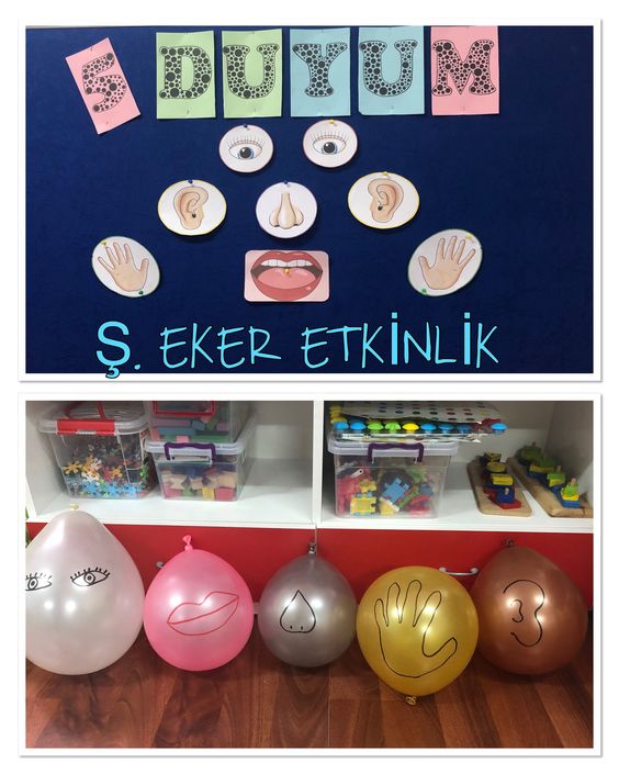 5 DUYUM - Beş Duyunun Tanıtımı ve Etkinlik Materyali