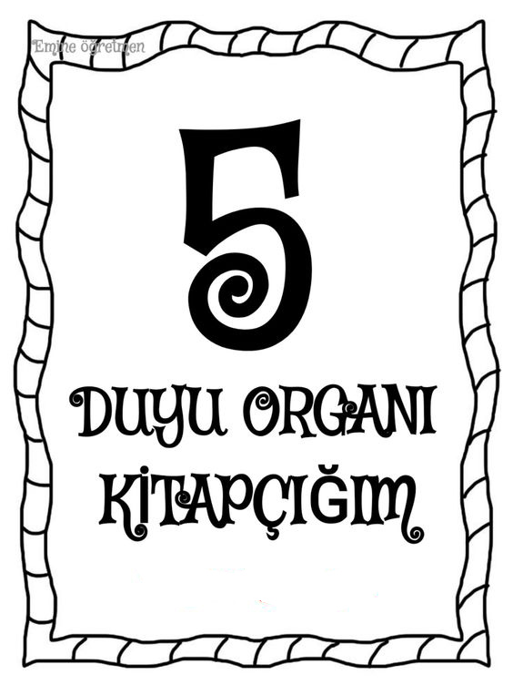 5 Duyu Organi Kitapçığım - Eğitsel Materyal