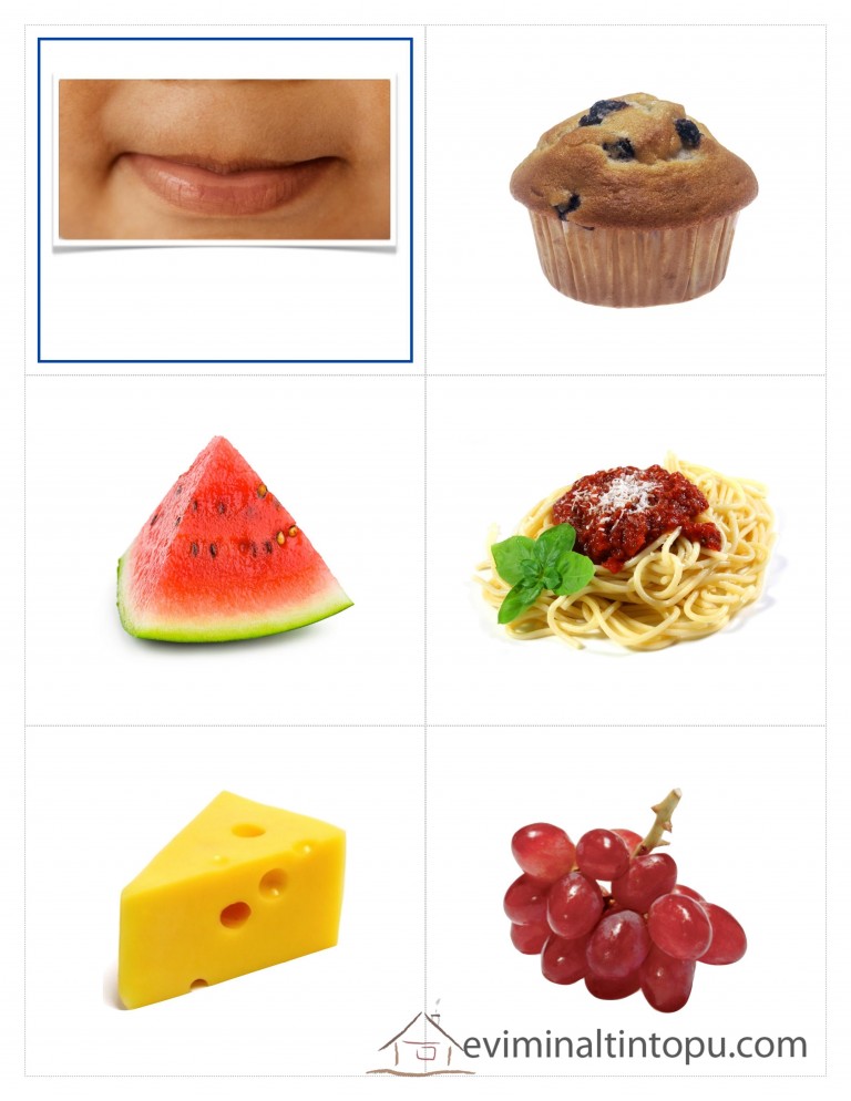 Mouth, Blueberry Muffin, Watermelon, Spaghetti with Sauce, Cheese, Grapes - Food and Facial Features Learning Material