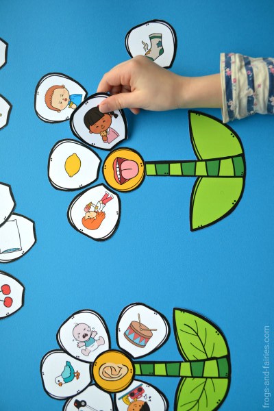 Eğitici Etkileşimli Çiçek Grafiği - Nesneleri Yerleştirme Etkinliği