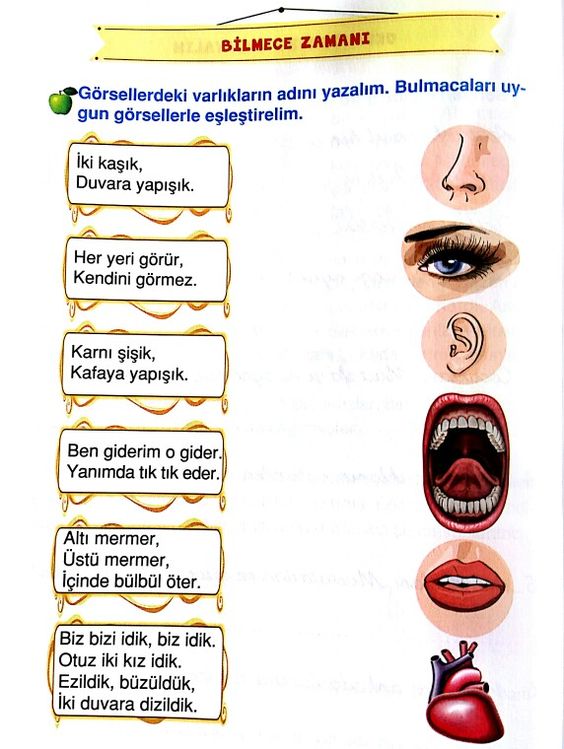 Bilmeceler ve Cevapları: Varlıkların Tanımları ve İlişkileri