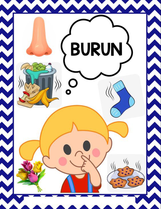 Burun ve Koku Tanıma Etkinliği - 1, BURUN (B: sesli, S: sessiz; R: sessiz, N: sessiz), Çocuk Görseli, Çöp Kutusu, Çiçekler, Çorap, Kurabiye