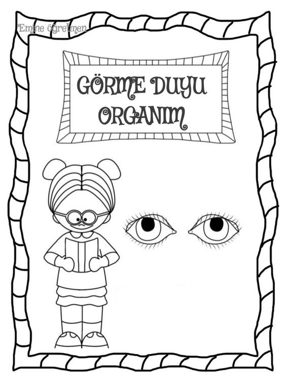 Görme Duyusu Organım | Gözler ve İnsan Figürü Etiketleme