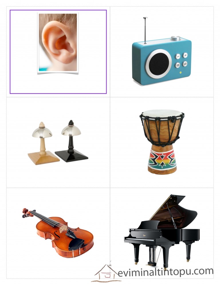 Duyular ve Müzik: Kulak, Radyo, Masa Lambası, Davul, Keman, Piyano - İşitme ve Müzikal Öğeler