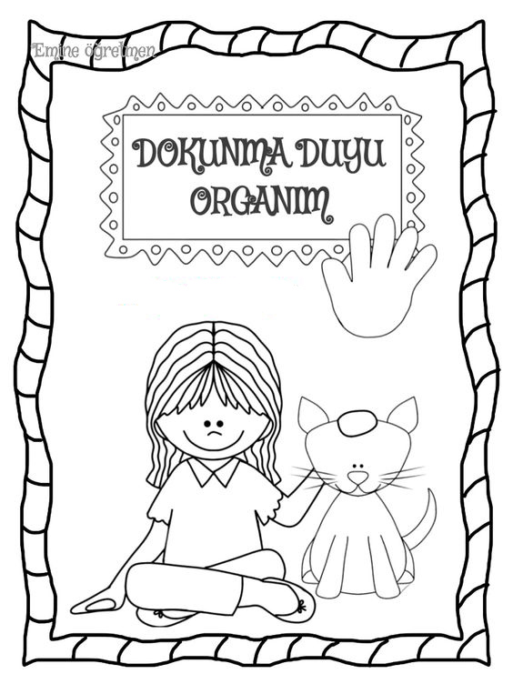 DOKUNMA DUYU ORGANIM - 1 Kız Çocuk ve 1 Kedi İllüstrasyonu