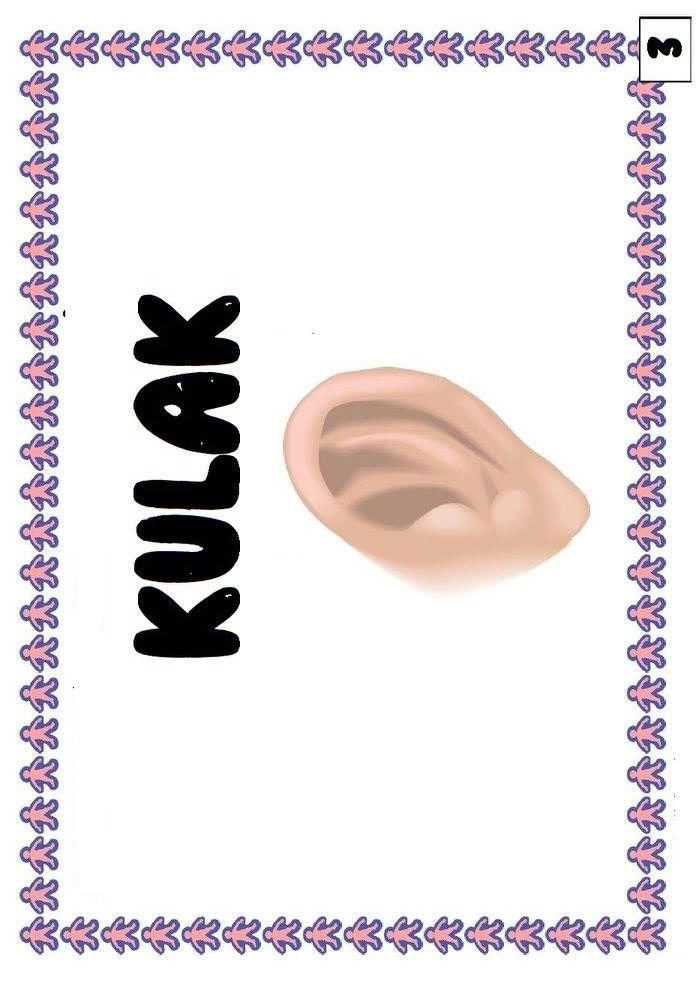 KULAK_3.kelime_ve_beden_hissi_öğretimi