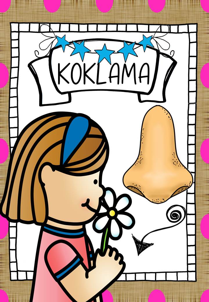 KOKLAMA - KOKUSUN ALGILANMASI | Çocuklar için Eğitici Materyal