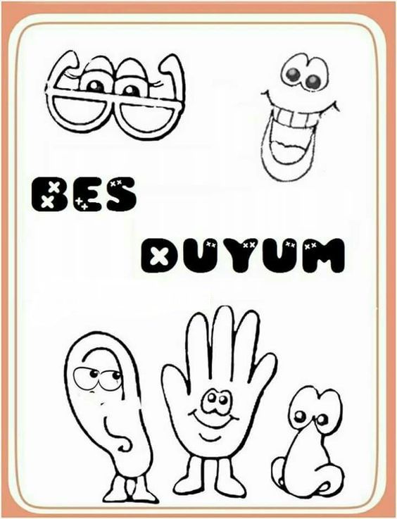 Beş Duyum Eğitimi: Eğlenceli Karakterler ile Duyuların Tanıtımı