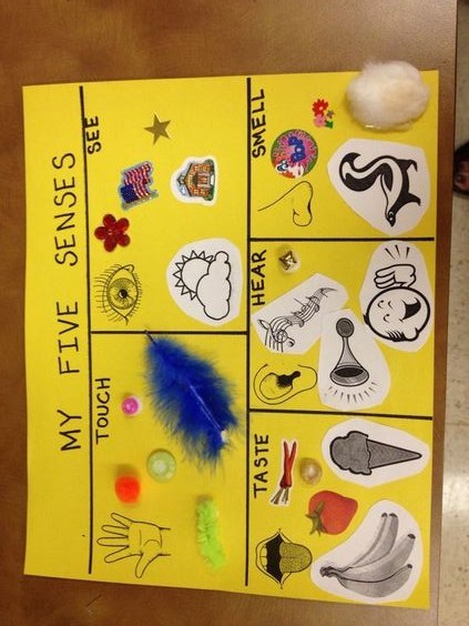 MY FIVE SENSES: An Educational Chart Demonstrating Visual, Auditory, Olfactory, Tactile, and Gustatory Experiences
