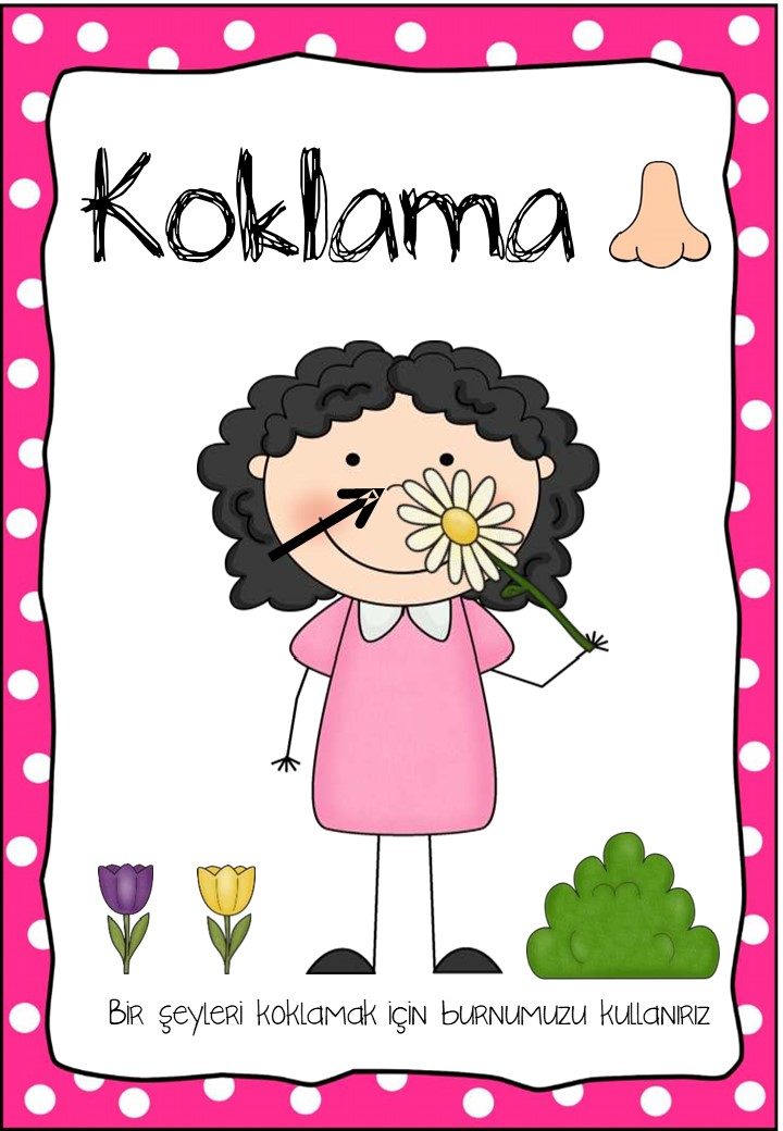 Koklama Başlığı - Burun Kullanımı ve Koku Alma Eğitimi