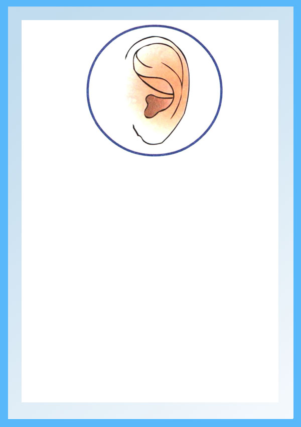 İşitme Organı: Kulak Anatomisi